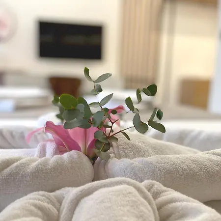 Bed & Breakfast Npl Code