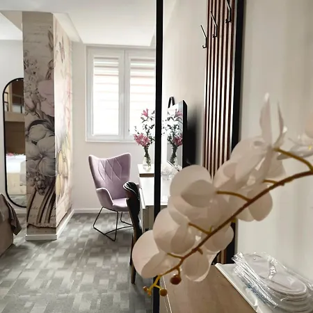 Bed & Breakfast Npl Code