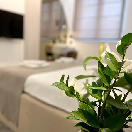 Bed & Breakfast Npl Code