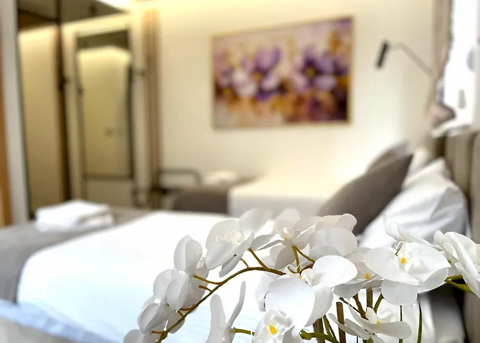 Bed and Breakfast Npl Code