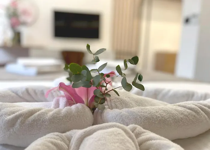 Bed and Breakfast Npl Code