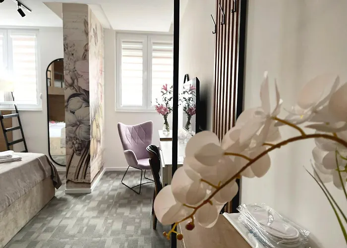 Bed and Breakfast Npl Code